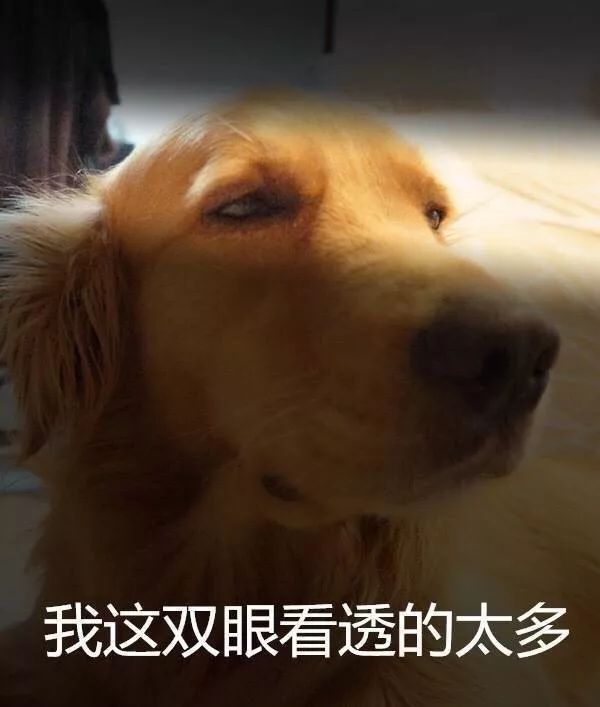 澳门新葡平台网址8883：摆脱政策依赖 猪肉要降 新能源车却要涨